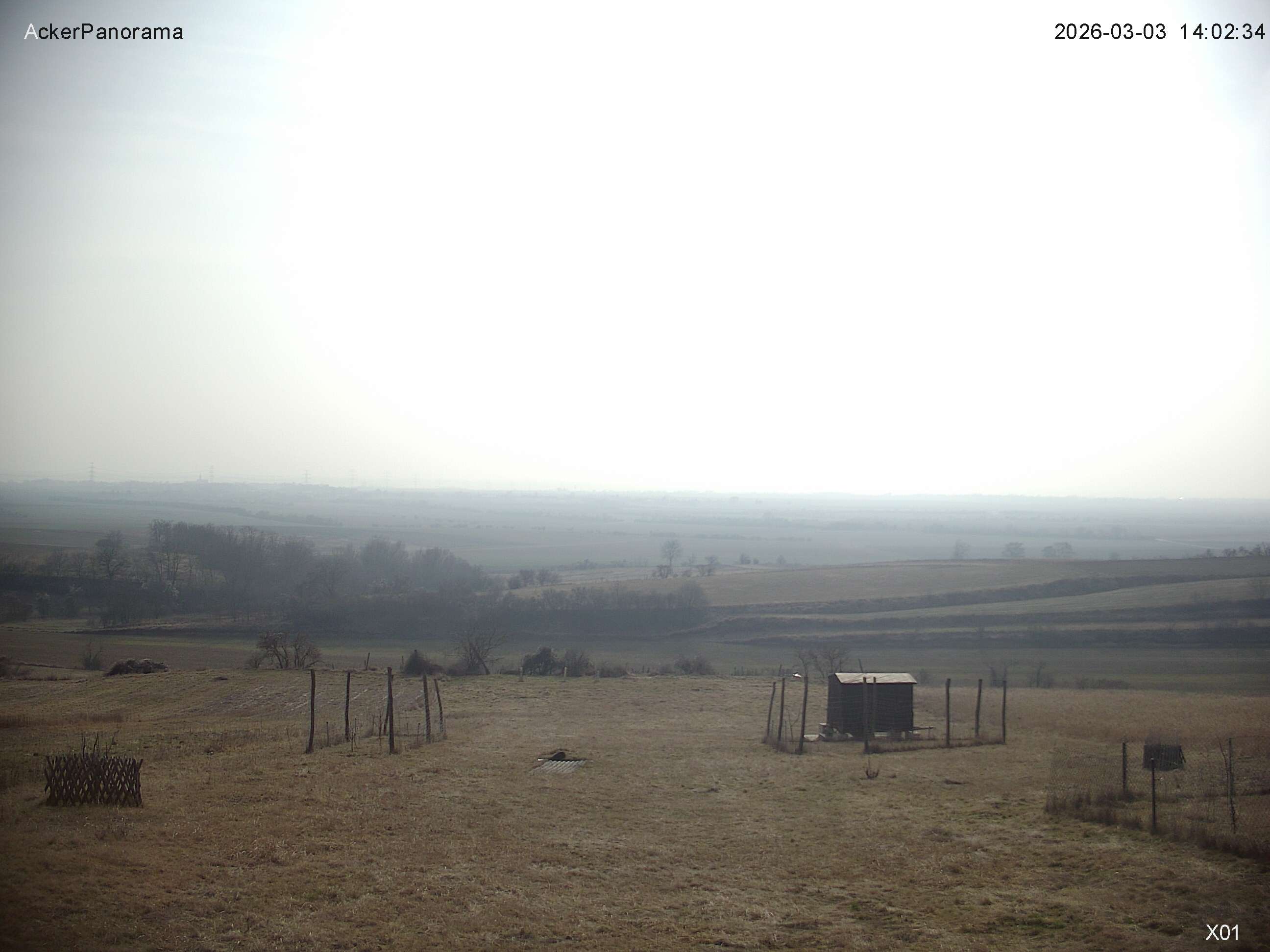 aktuellstes Bild vom Acker